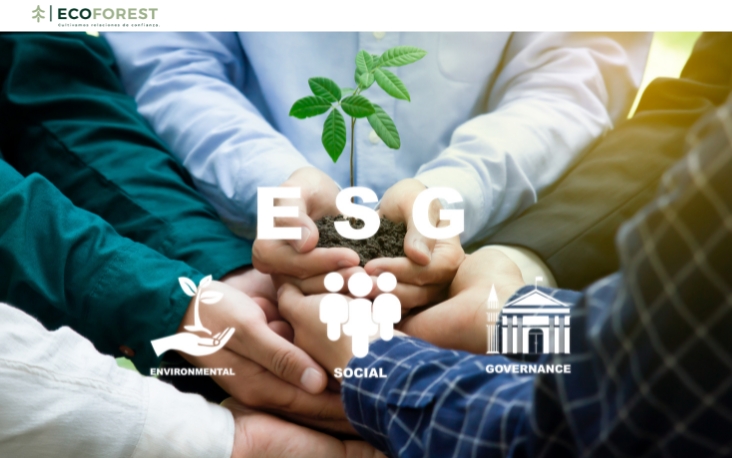Consultoras ESG: cuánto cuesta implementar sostenibilidad empresarial