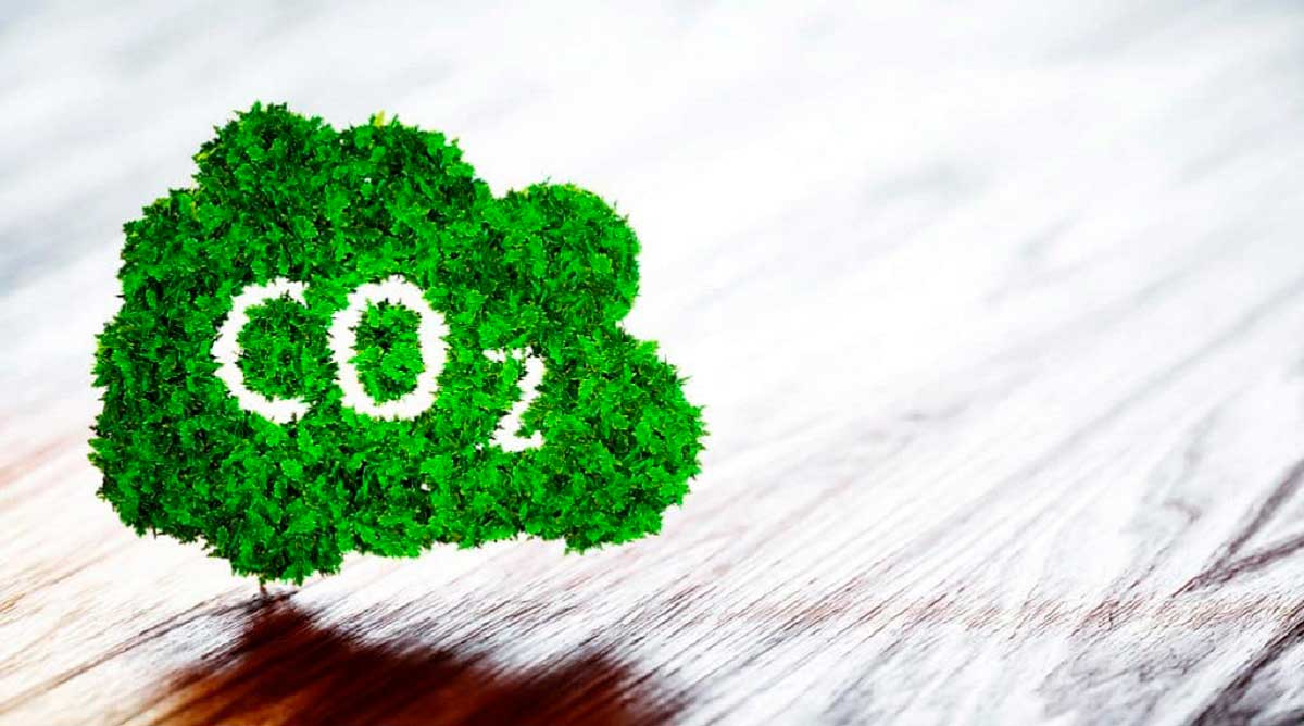 Empresas que venden bonos de carbono: comparativa y tarifas
